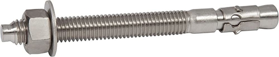 316 Stainless Steel Wedge Anchor For Concrete Fastening By NJMKT