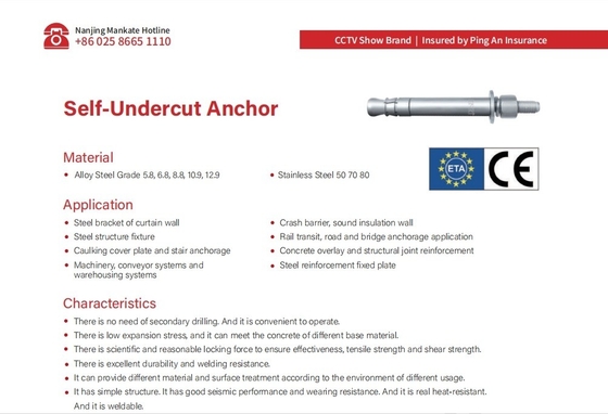 Acrylic Reinforcement Self Undercut Anchor Bolts with High Tension and ETA Approval
